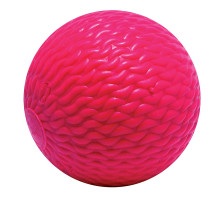 Мяч CCM BANDY BALLS