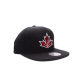 Кепка MITCHELL&NESS WCH TEAM LOGO SNAPBACK