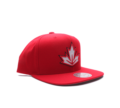 Кепка MITCHELL&NESS WCH TEAM LOGO SNAPBACK Кепка MITCHELL&NESS WCH TEAM LOGO SNAPBACK