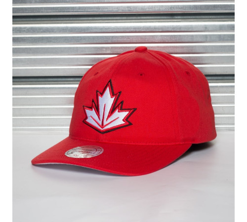Кепка MITCHELL&NESS WCH TEAM SLOUCH Кепка MITCHELL&NESS WCH TEAM SLOUCH